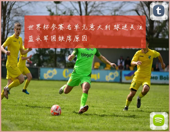 世界杯参赛名单无意大利 球迷关注蓝衣军团缺席原因