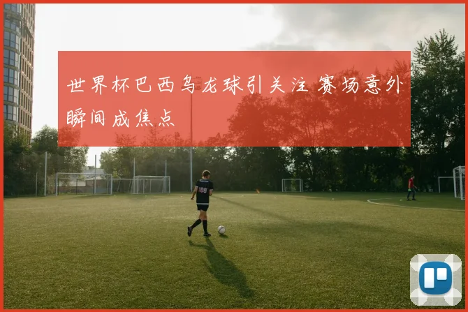 世界杯巴西乌龙球引关注 赛场意外瞬间成焦点