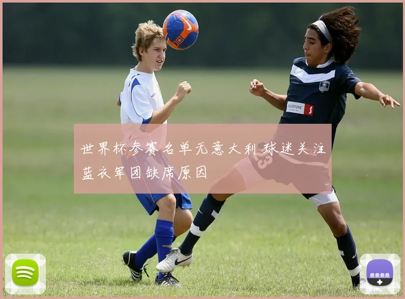 世界杯参赛名单无意大利 球迷关注蓝衣军团缺席原因