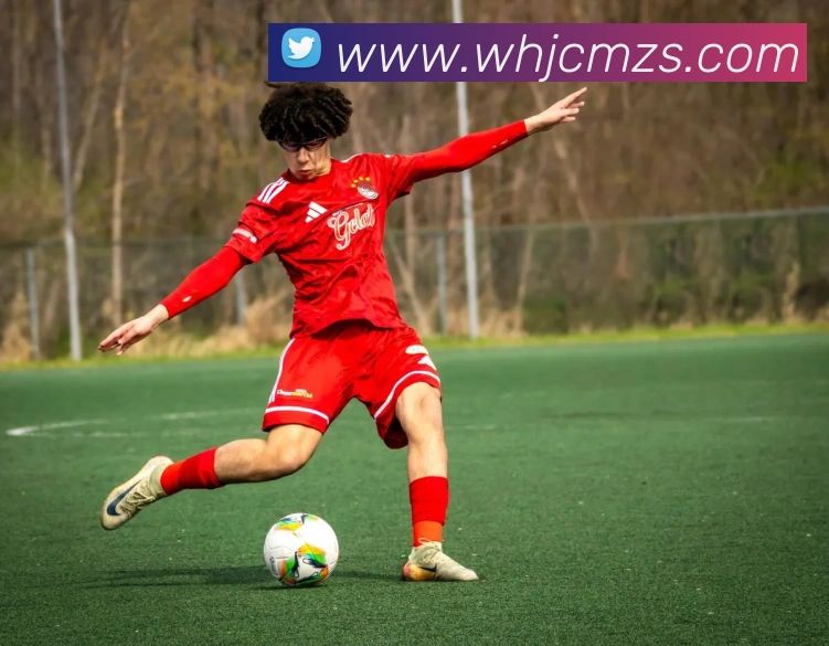 mksports官方发展历程